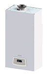 Termet EcoCondens Silver Plus 25C 1